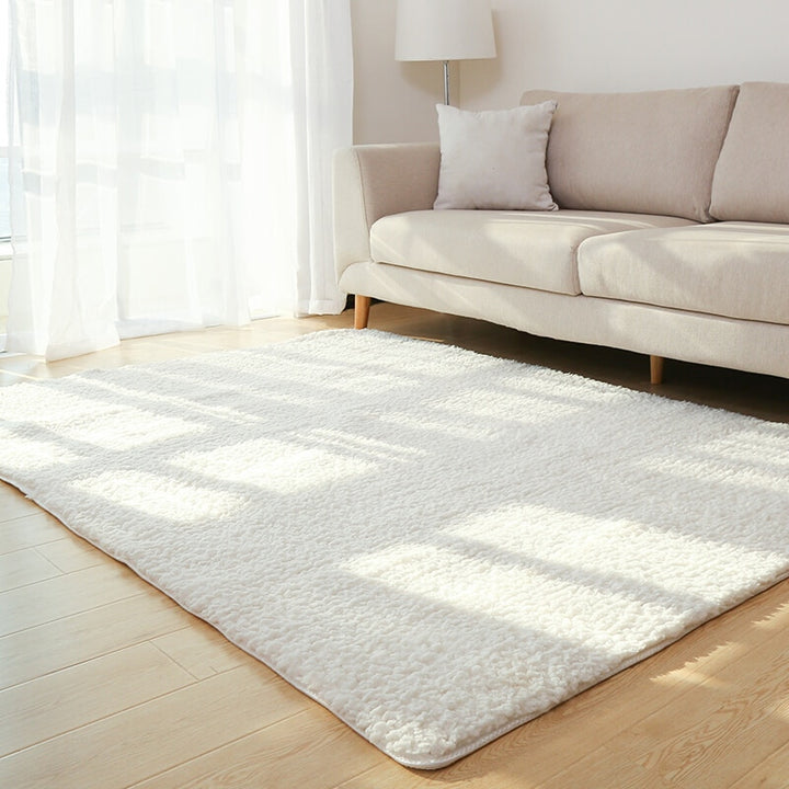 Soft Plush Area Rug